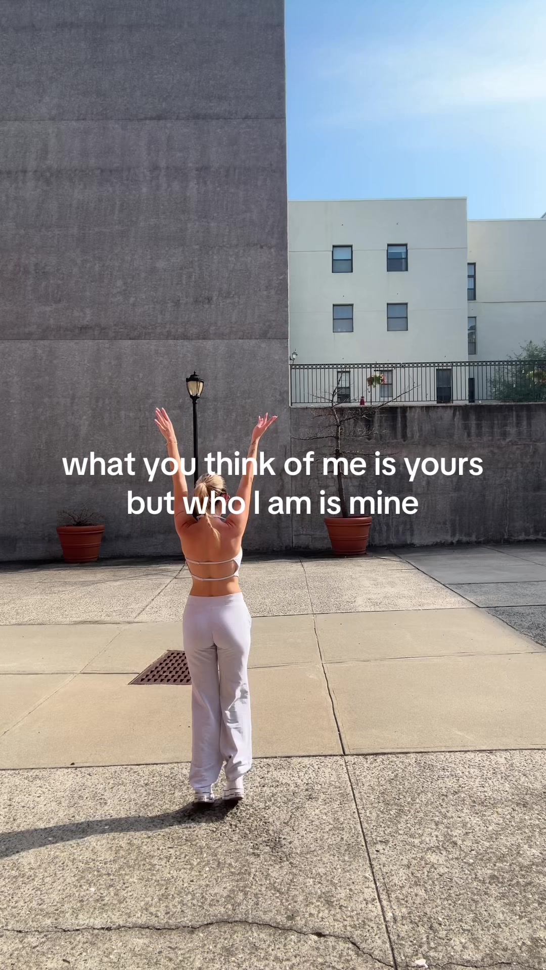 @Kungfu Kitty
