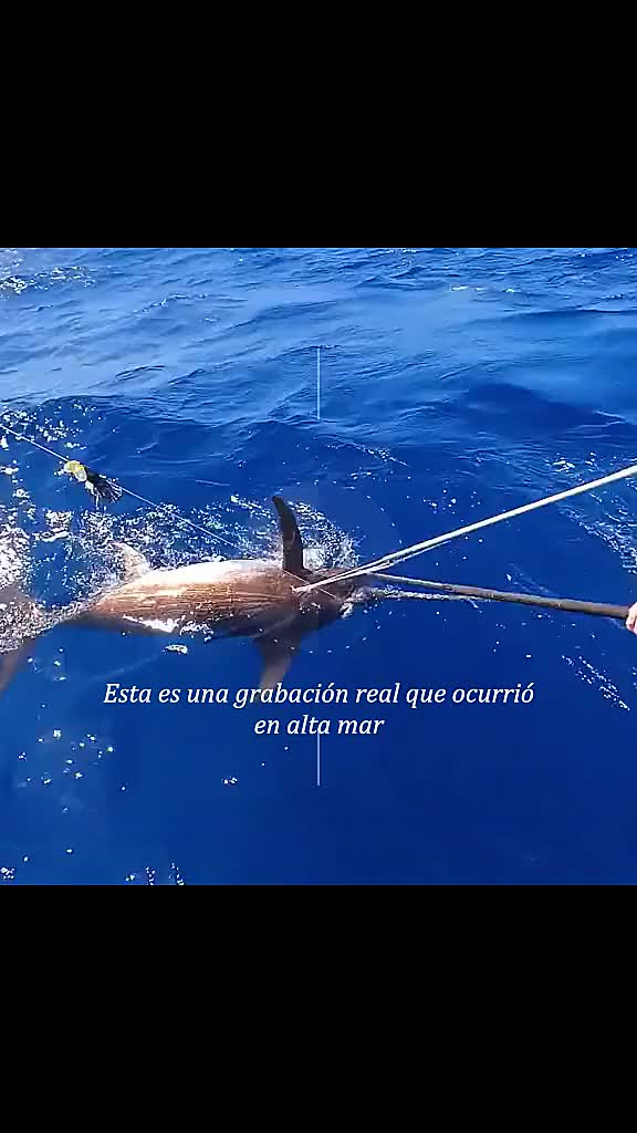 @vgwyeq