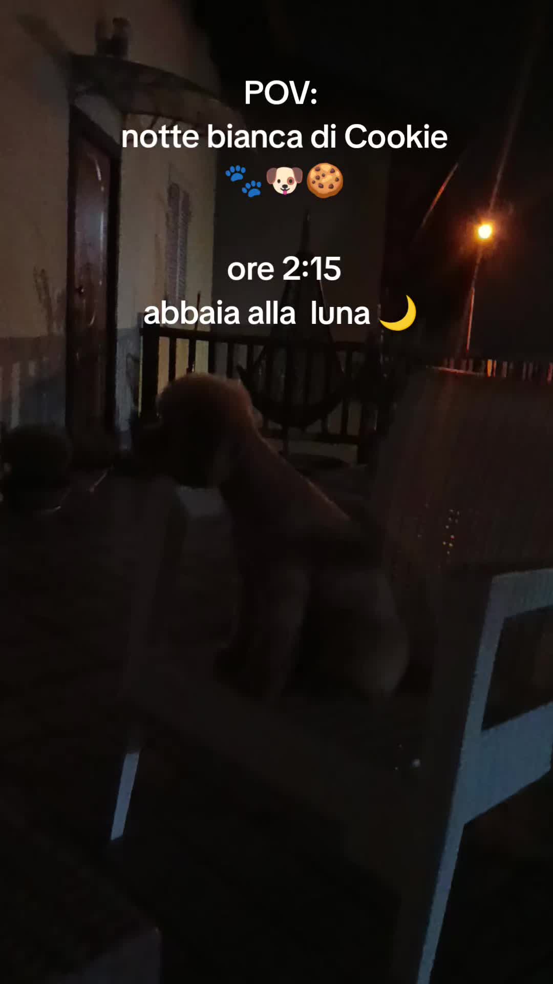 @Momenti Deliziosi