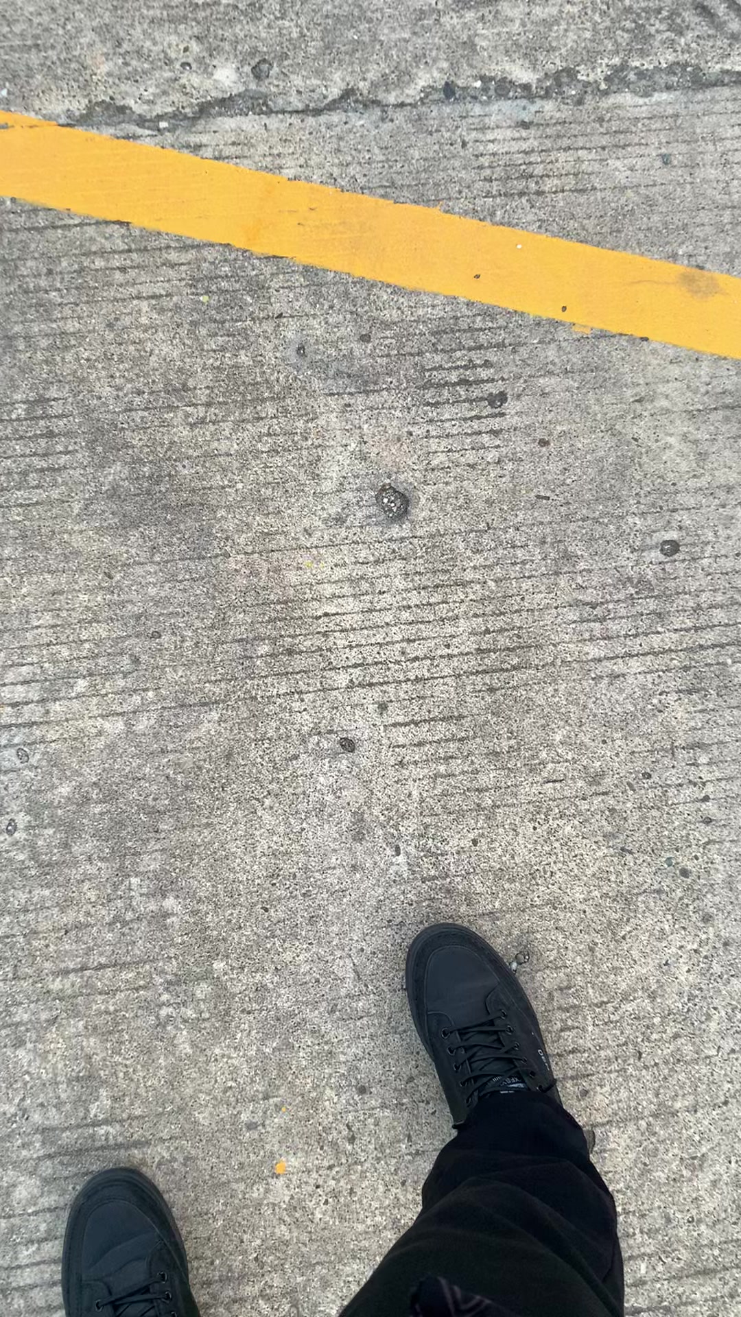 @🐼