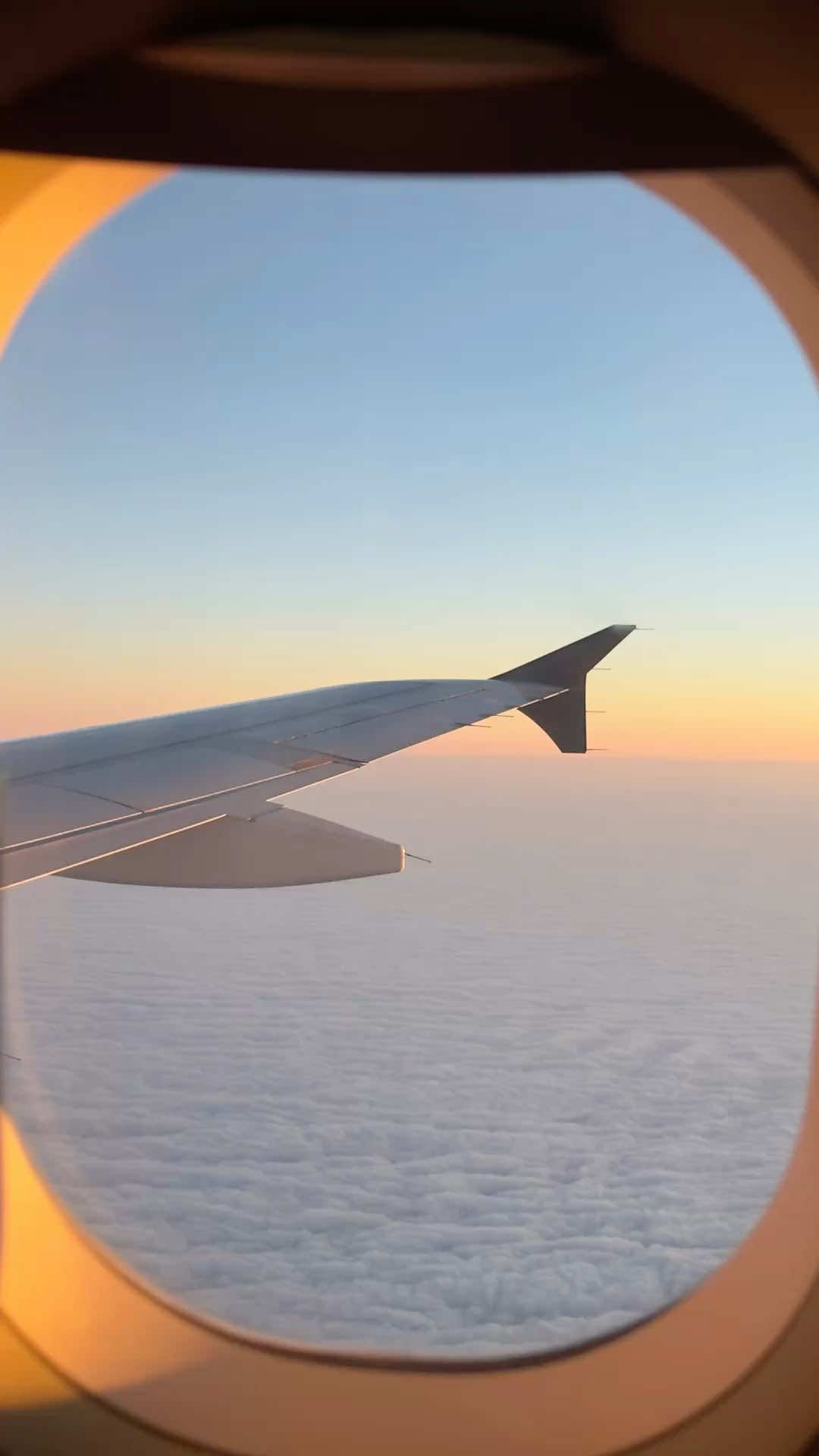 @🌺Travel Content🌴