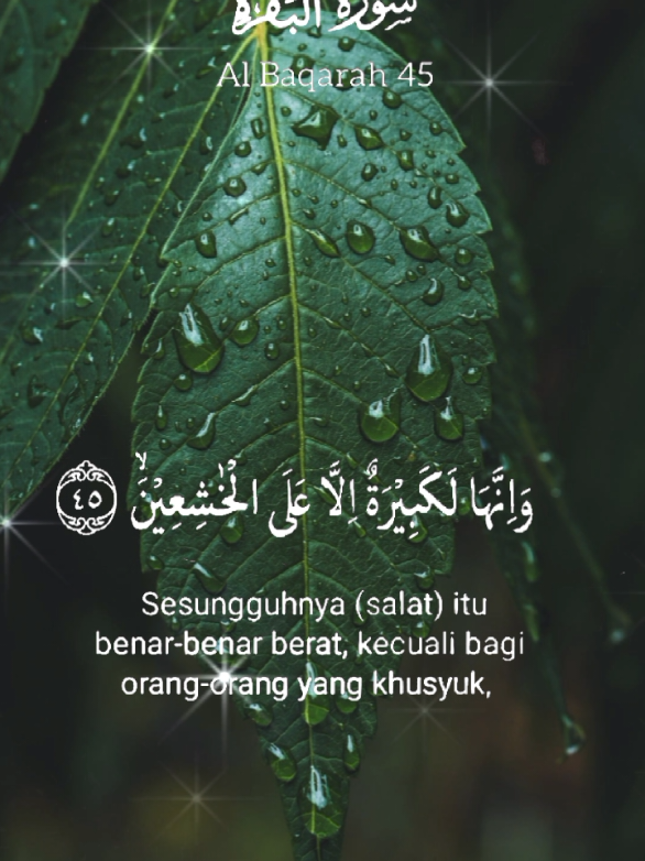 @Scorpio Berkah