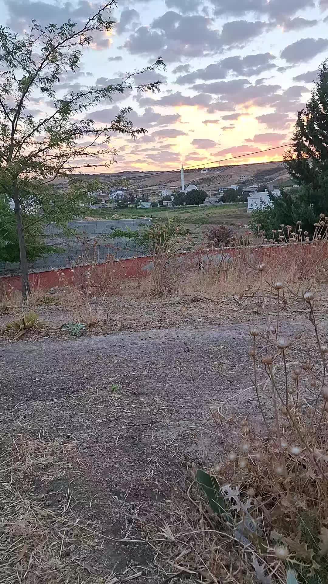 @Halil Buluş