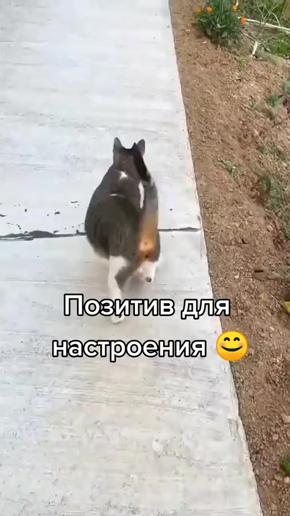 @@ Сарыкбай 💯