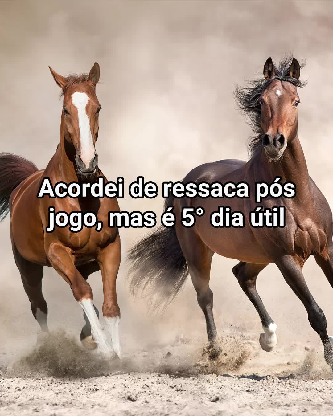 @Serasa