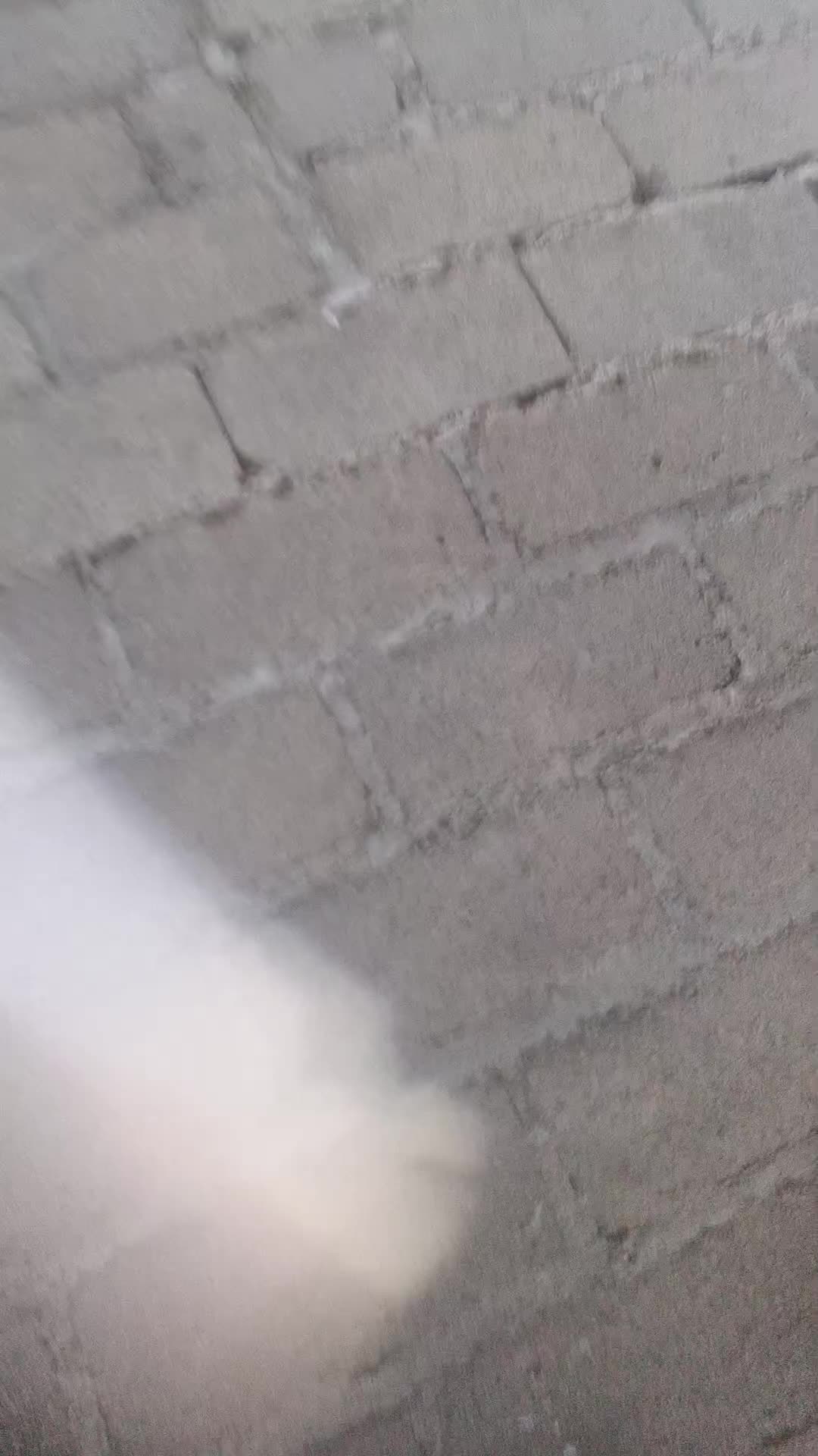 @nono 4823