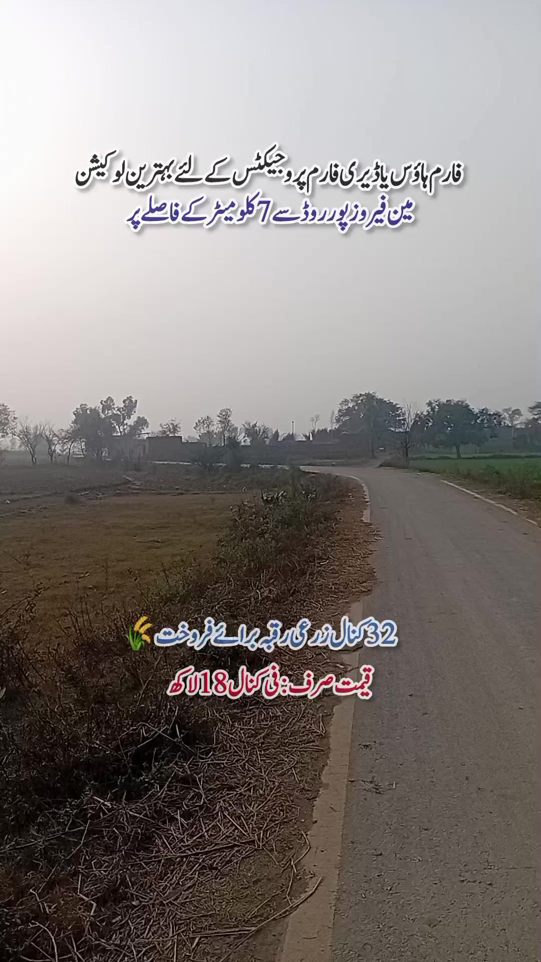 @Usama property channel