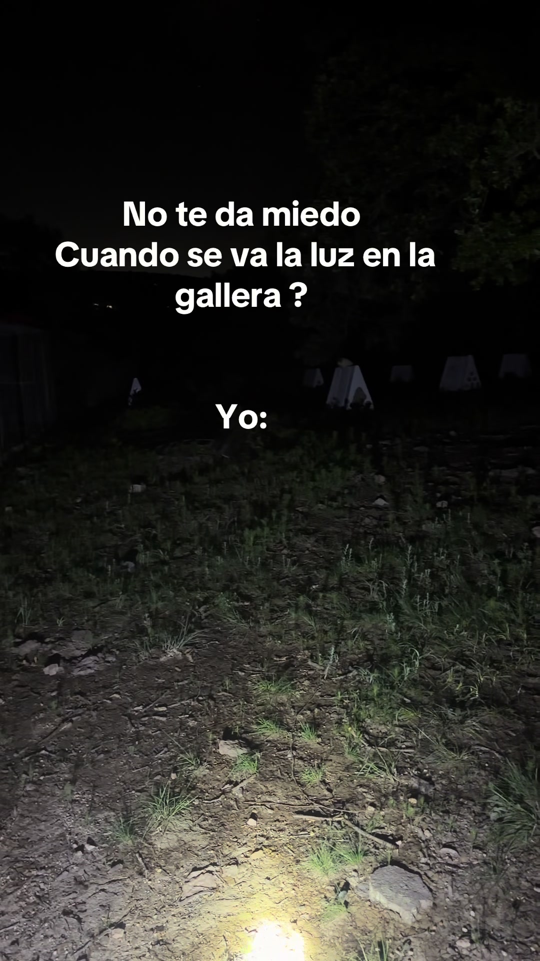 @SerPerLop
