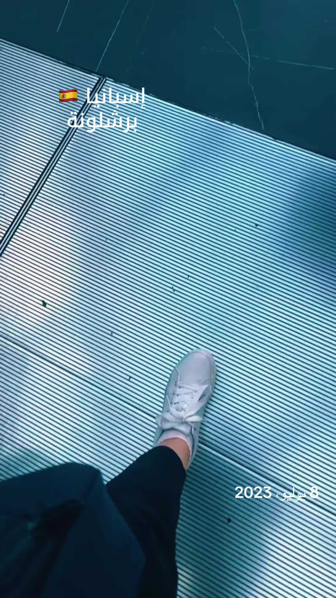 @Aliaa Shaalan