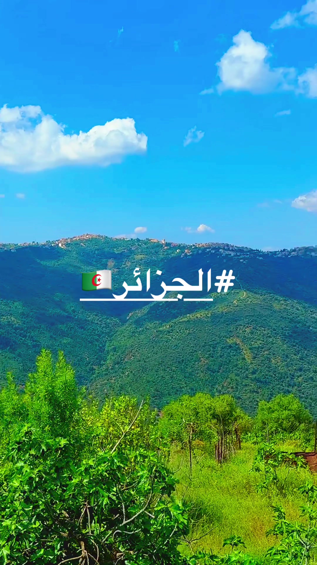 @Raouf Zrg