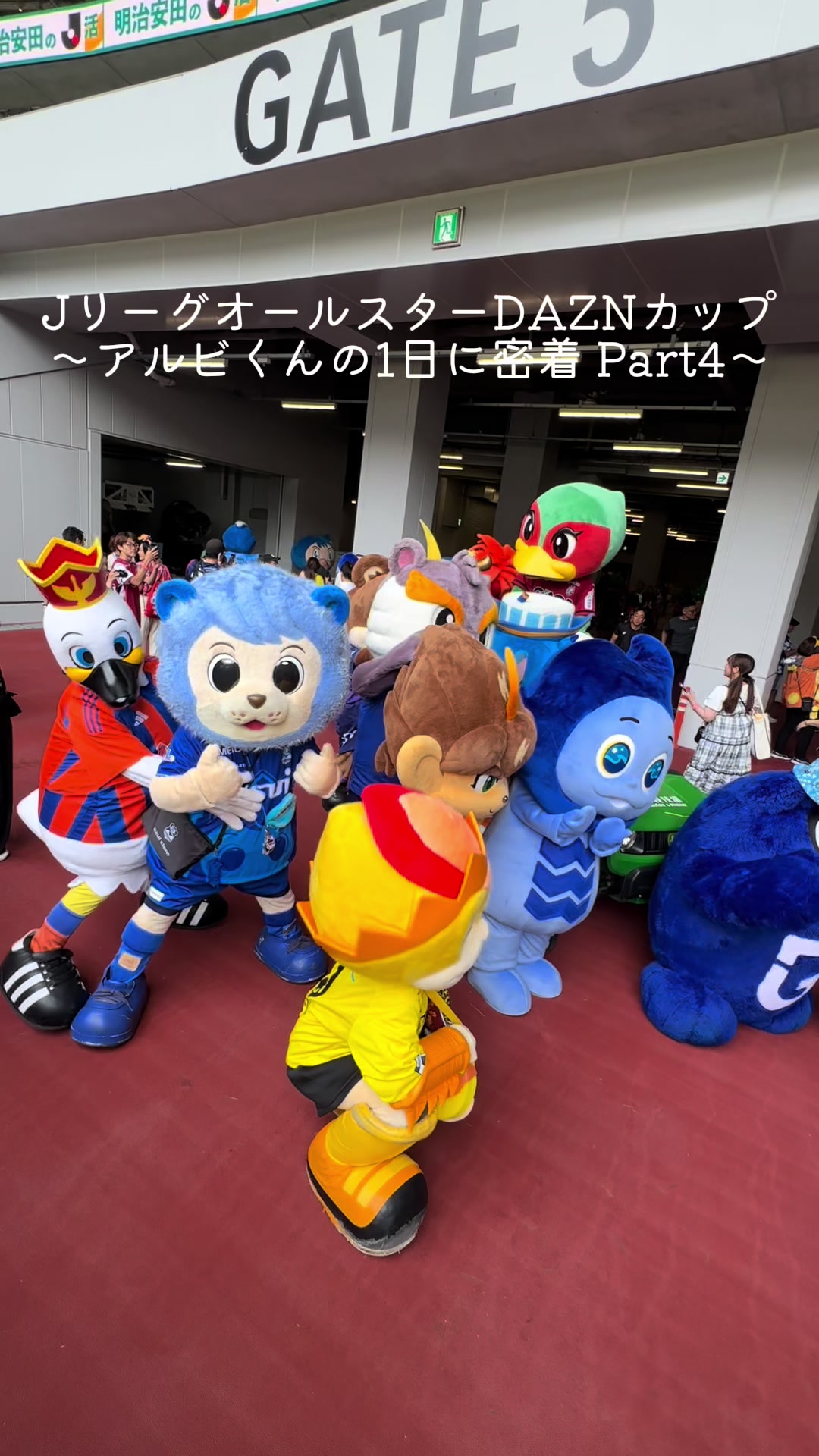 @アルビレックス新潟【公式】