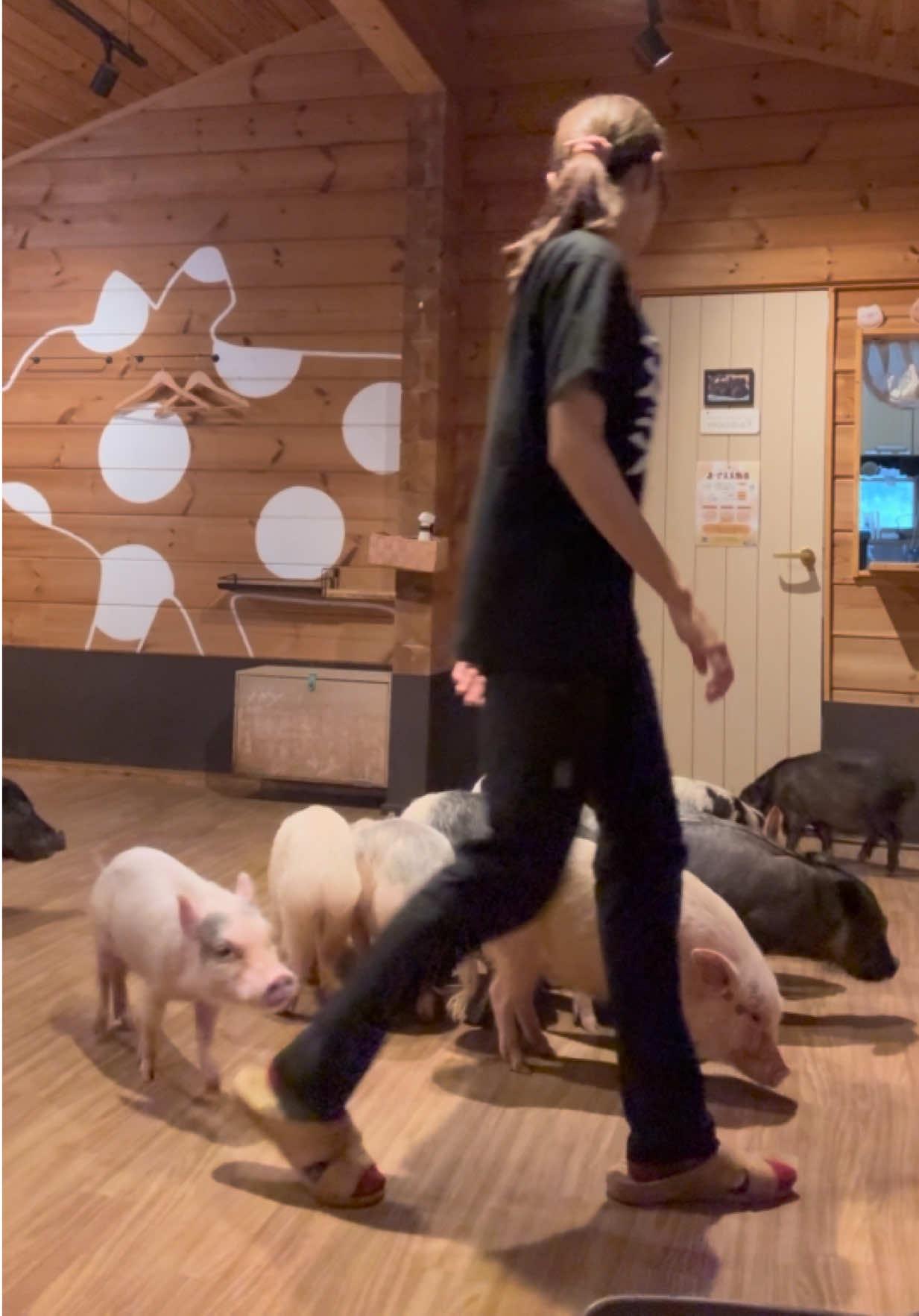 @pignic