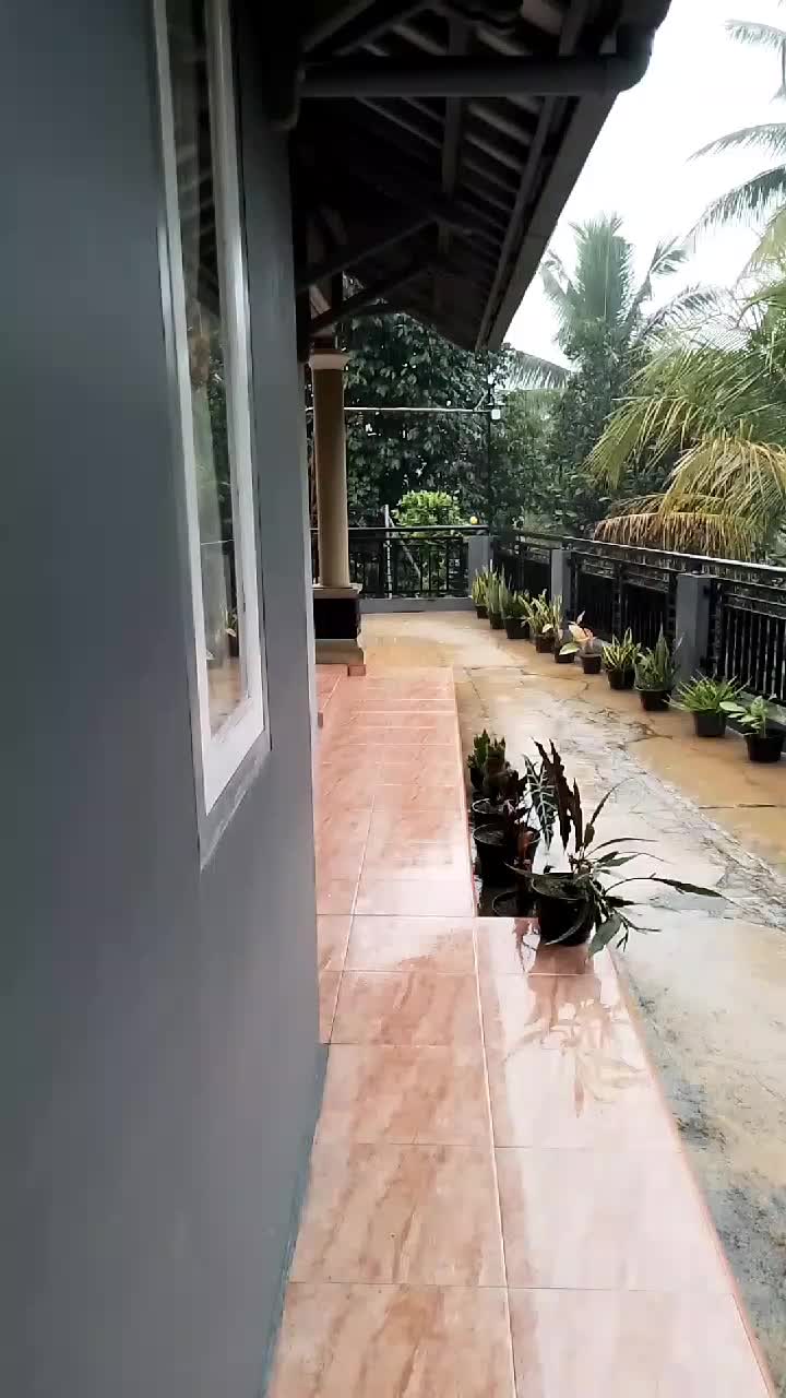 @Risa Sansan