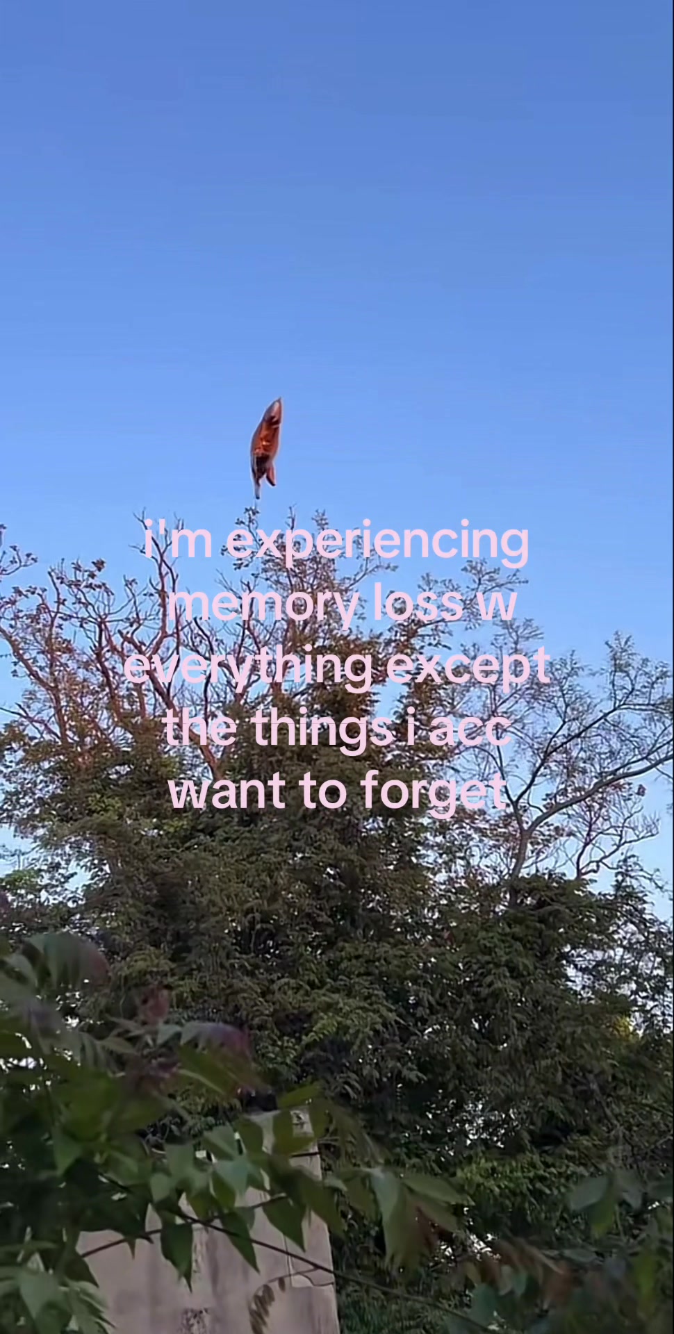 @ᡣ𐭩 &bull;｡ꪆৎ ˚&sdot;