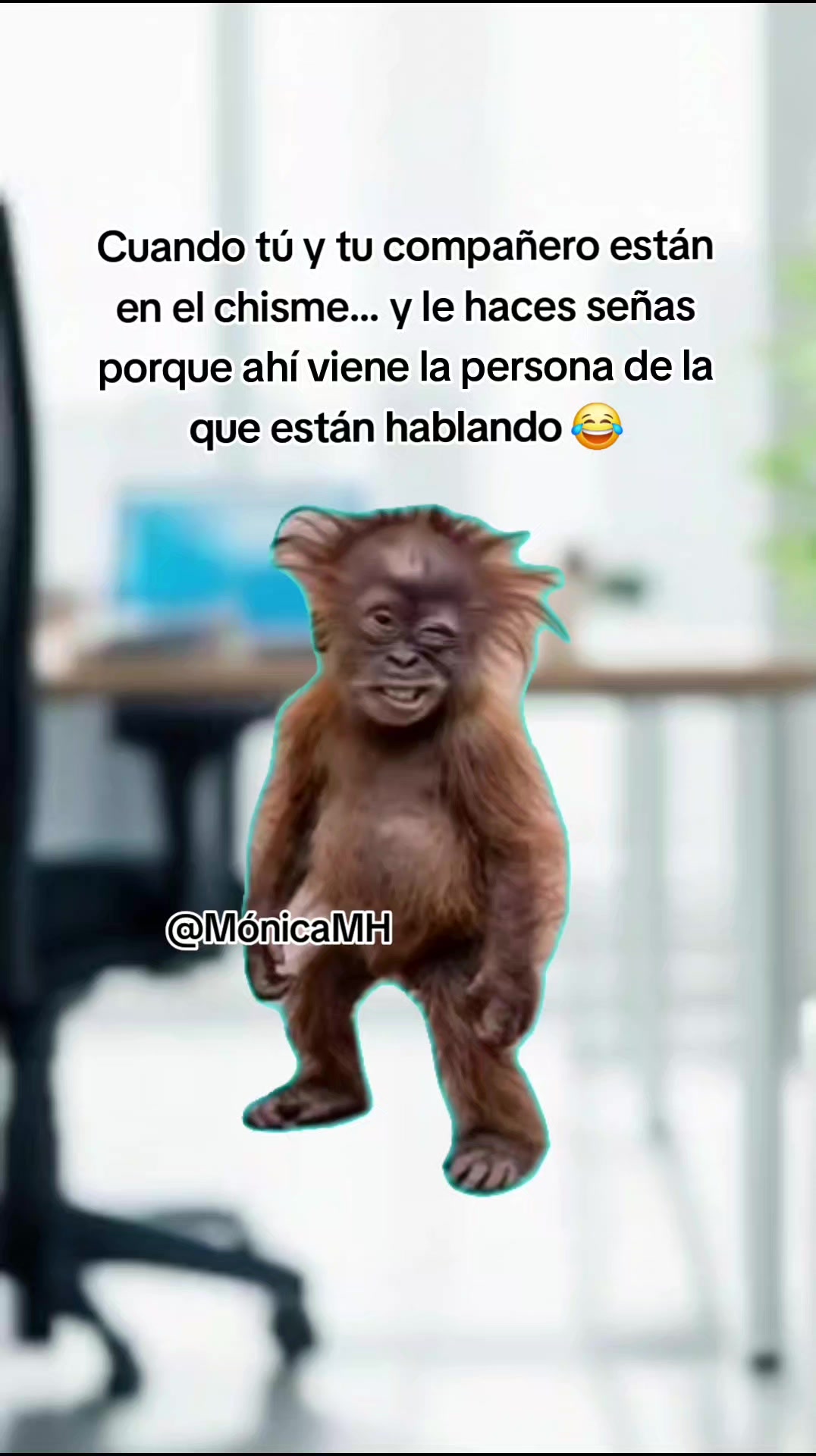 @Mónica MH