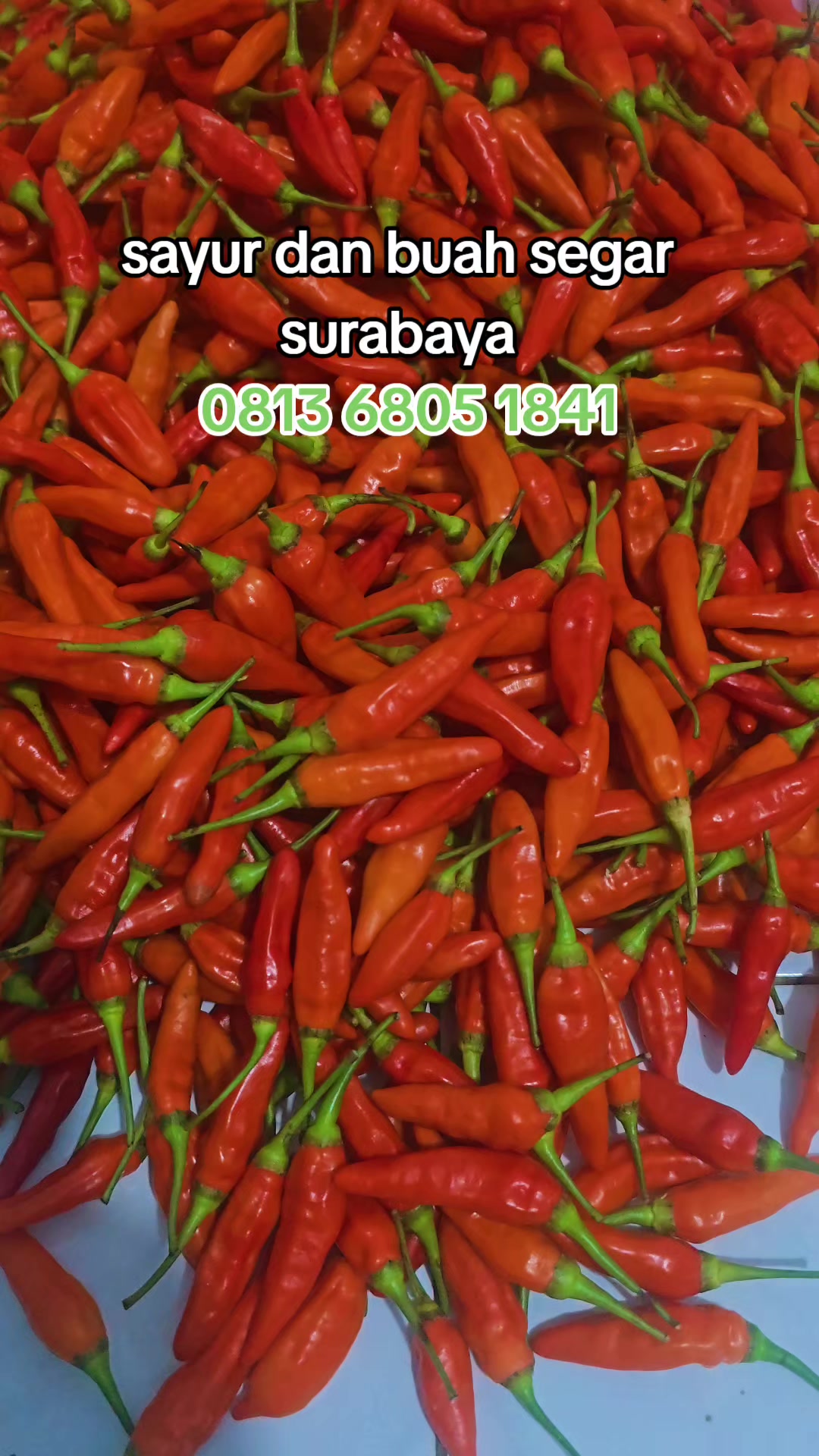 @supplier sayur dan buah sby