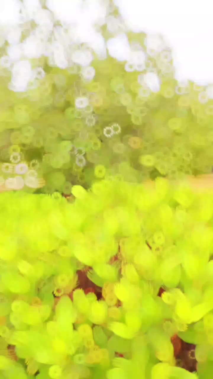 @Mr&radic;✨