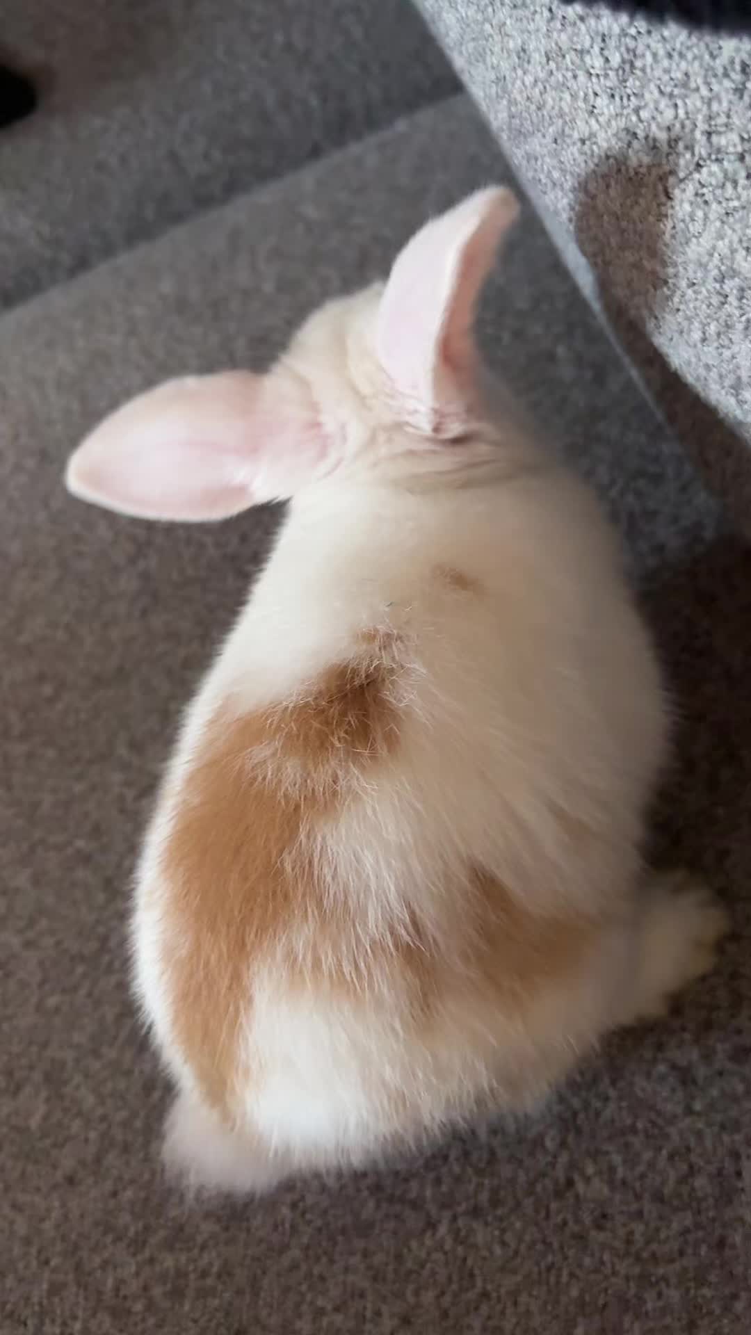 @💕💕💕💕