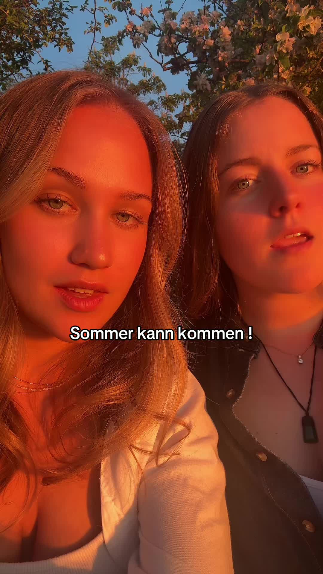 @dumm & d&uuml;mmer