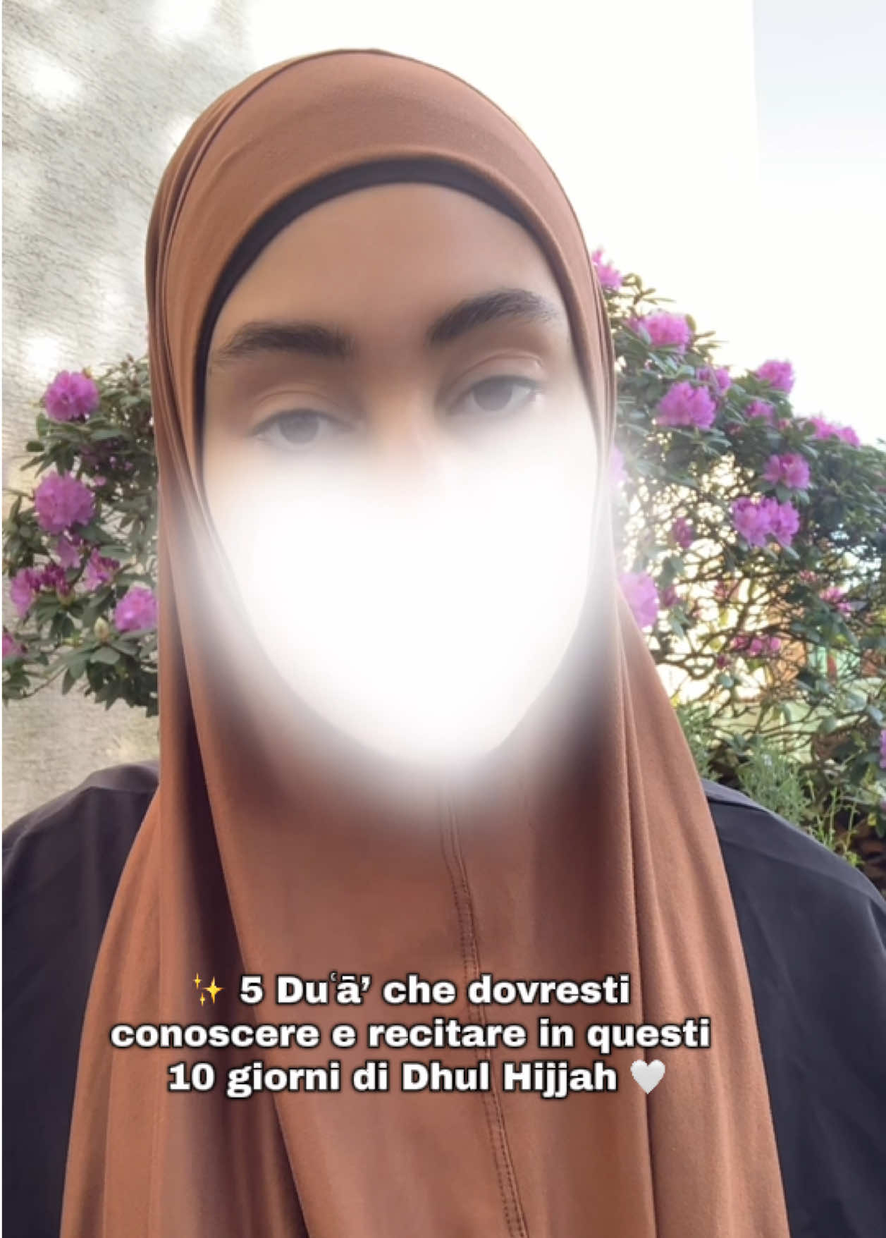 @DINI