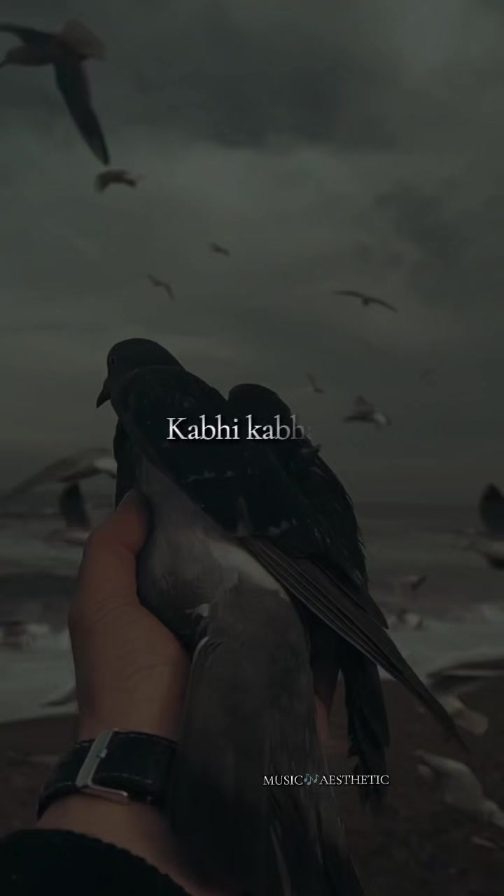 @Music🎶 Aesthetic