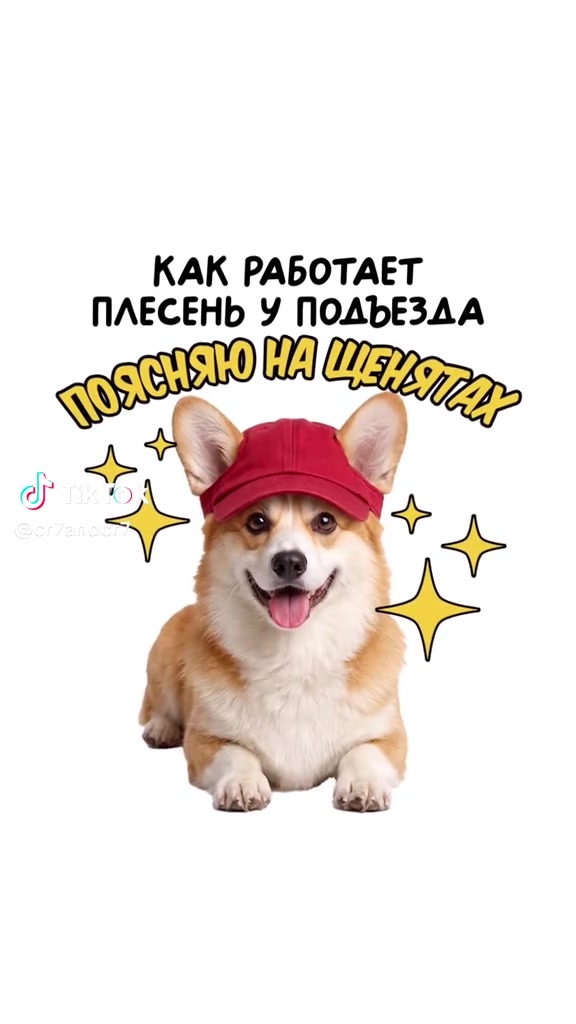 @yurachka__