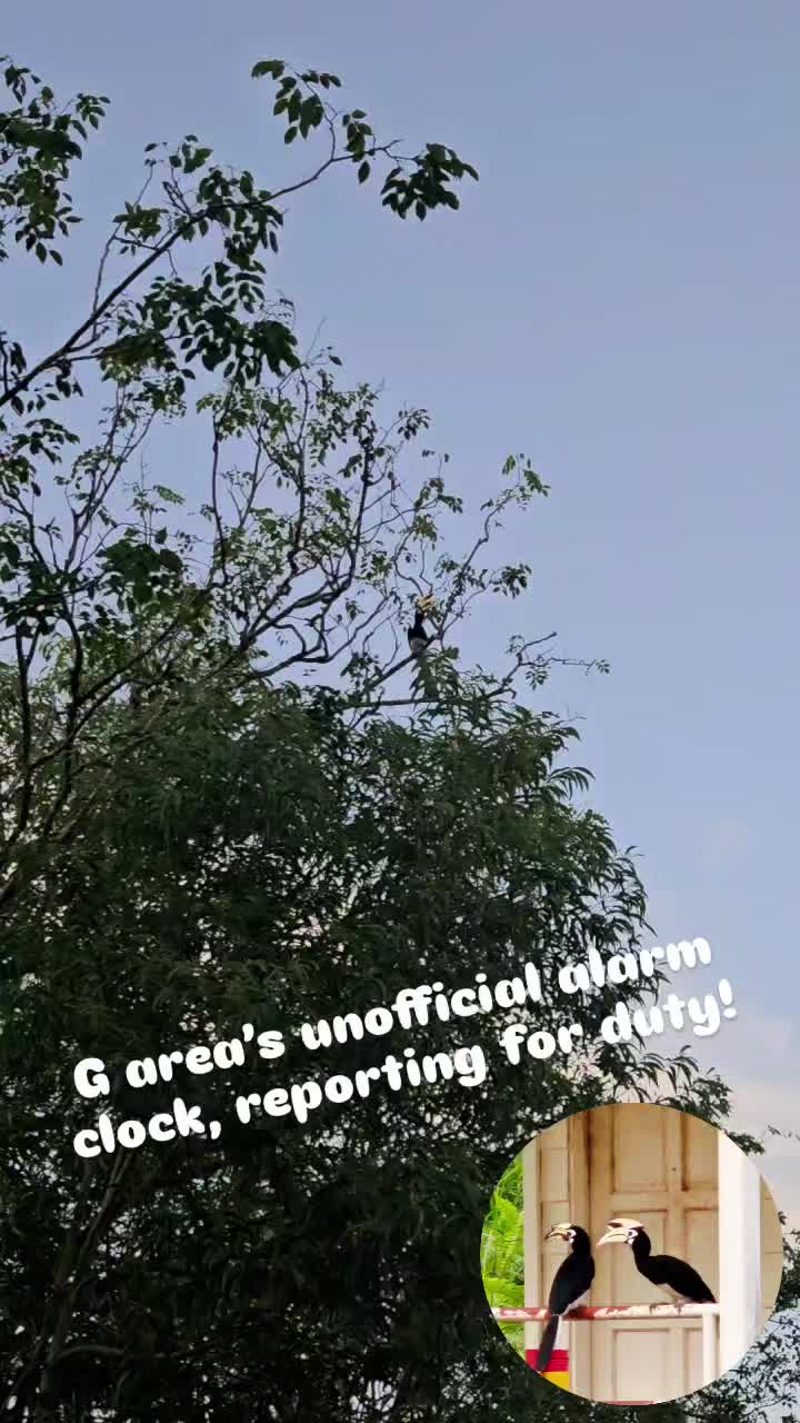 @darshini_bn