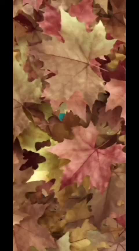 @Merdiye