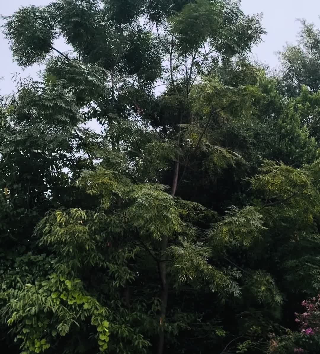 @BornHustlersFamily 243