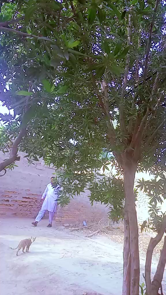 @RAEES ASIF PURHAR