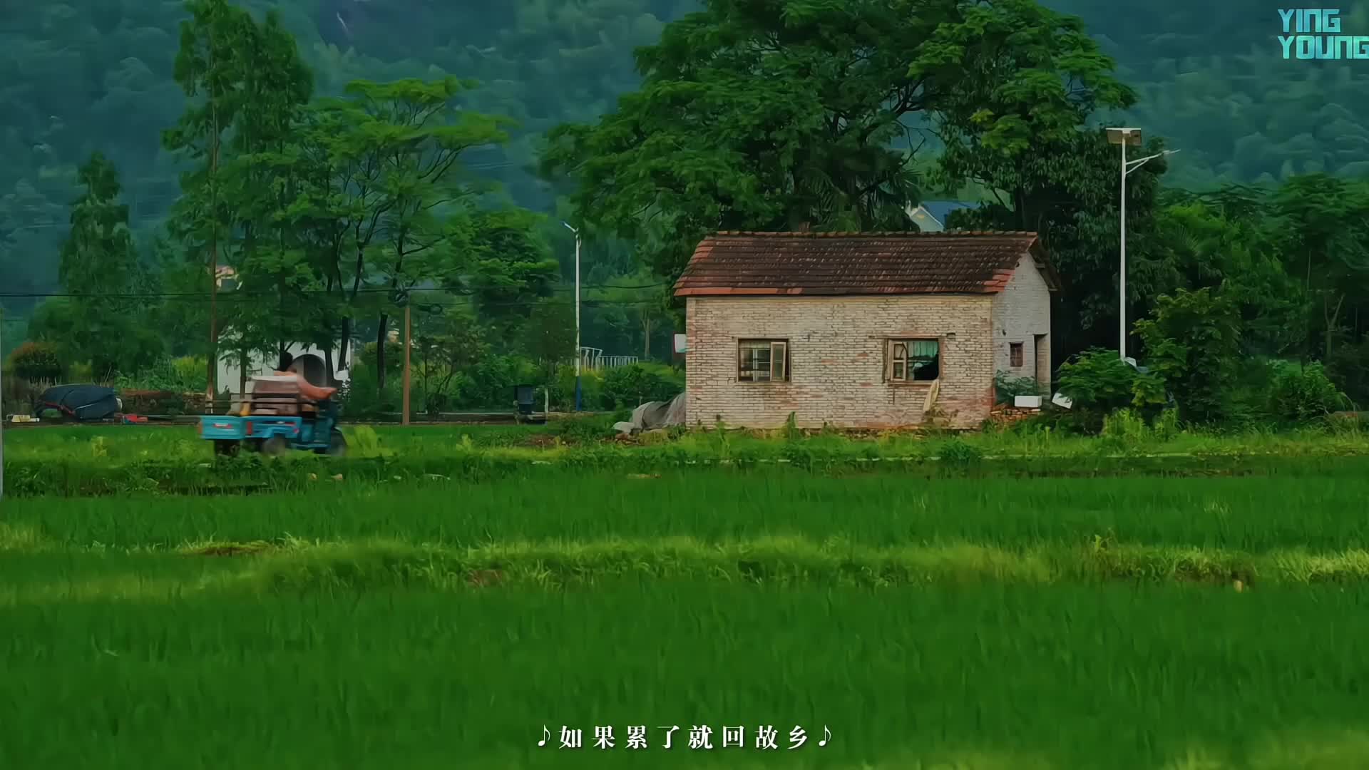 @𝗬𝗶𝗻𝗴𝗬𝗼𝘂𝗻𝗴