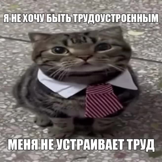 @Упырина