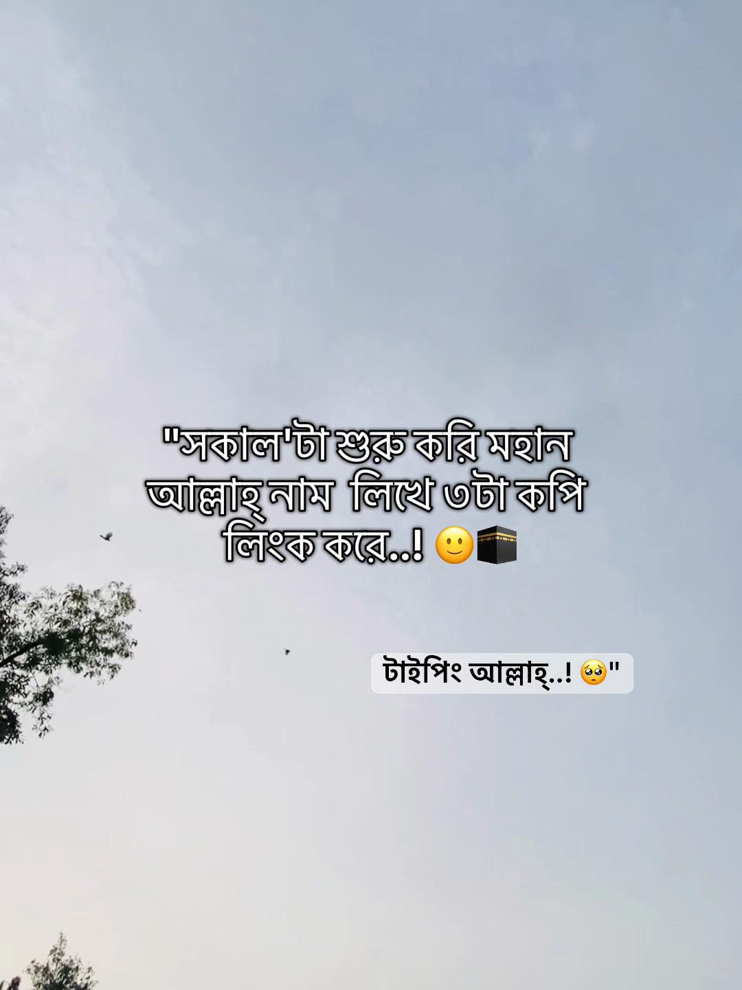 @টিক_টকি 🐸