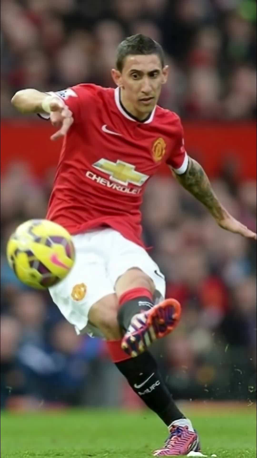 @Vini team United