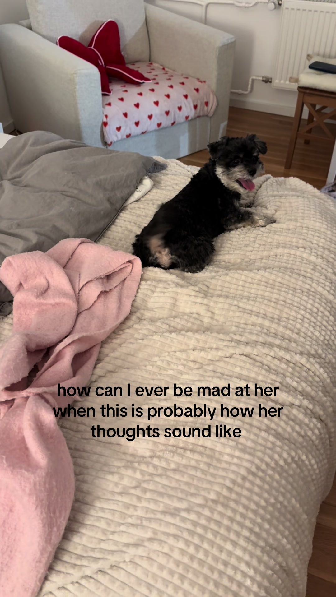 @caroline felicitas
