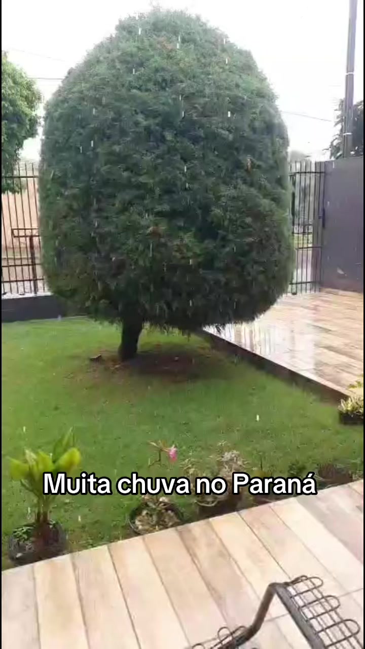 @Boiadeiro