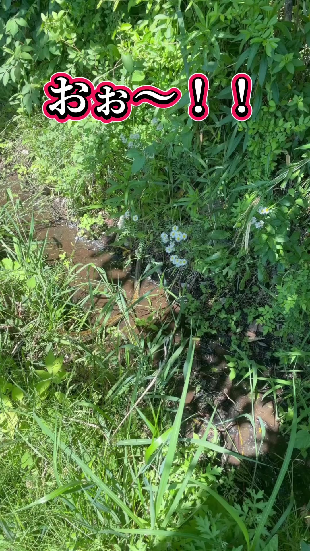 @クラフティ・モーメンツ