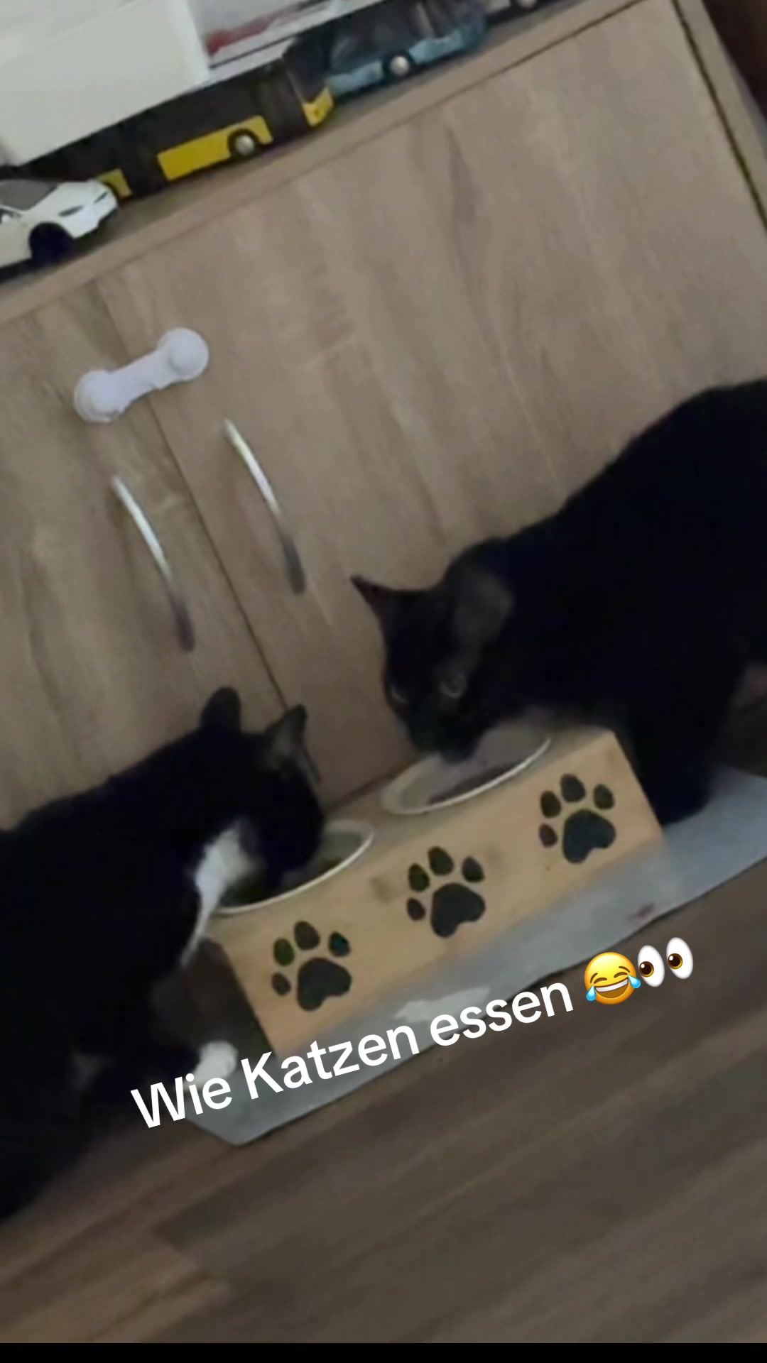 @Sonja Przyborowski