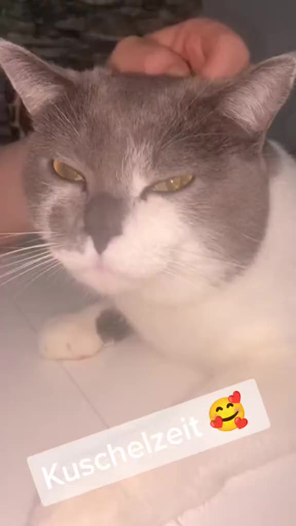 @𝐒𝔸𝓜тᑭᶠ&ouml;тᑕｈⒺή