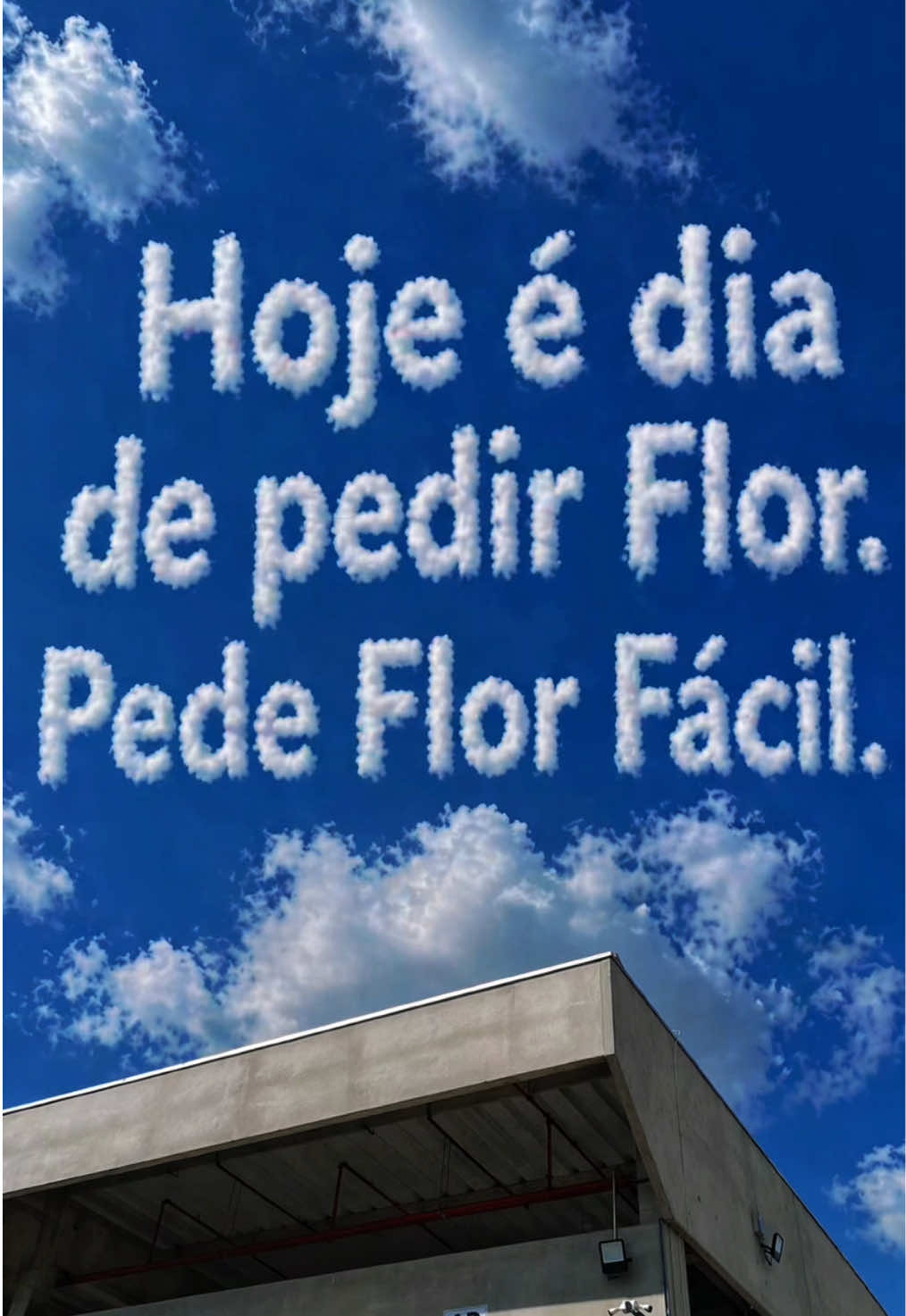 @FLOR FÁCIL