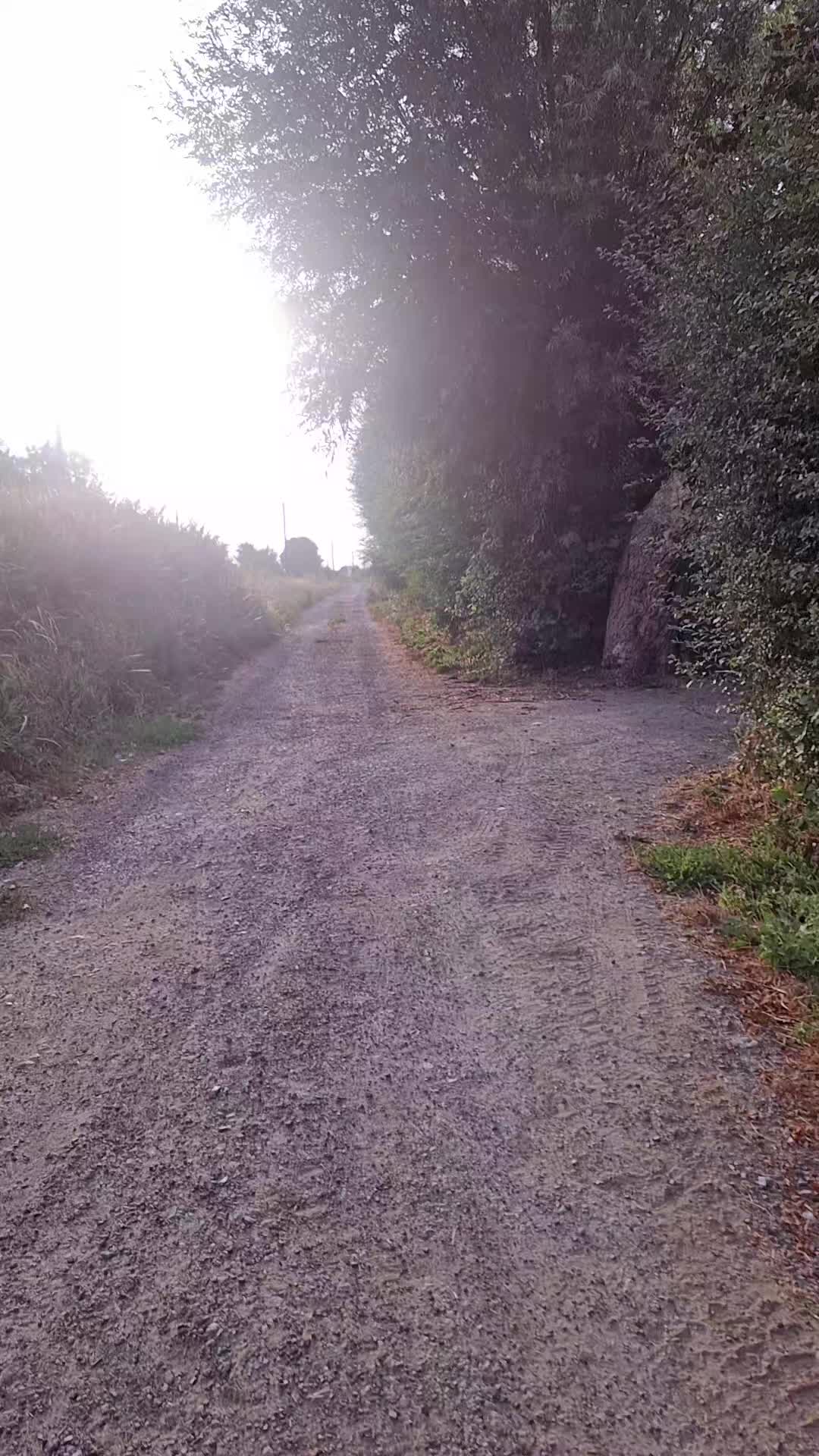 @Magalaïe59