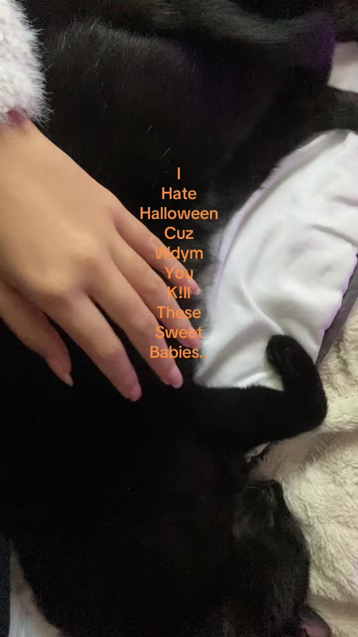 @𝐀𝐥𝐢𝐧𝐚⭐️🪽