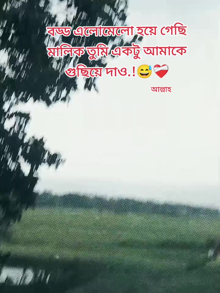 @Rifat Al Hasan 🫶🫀