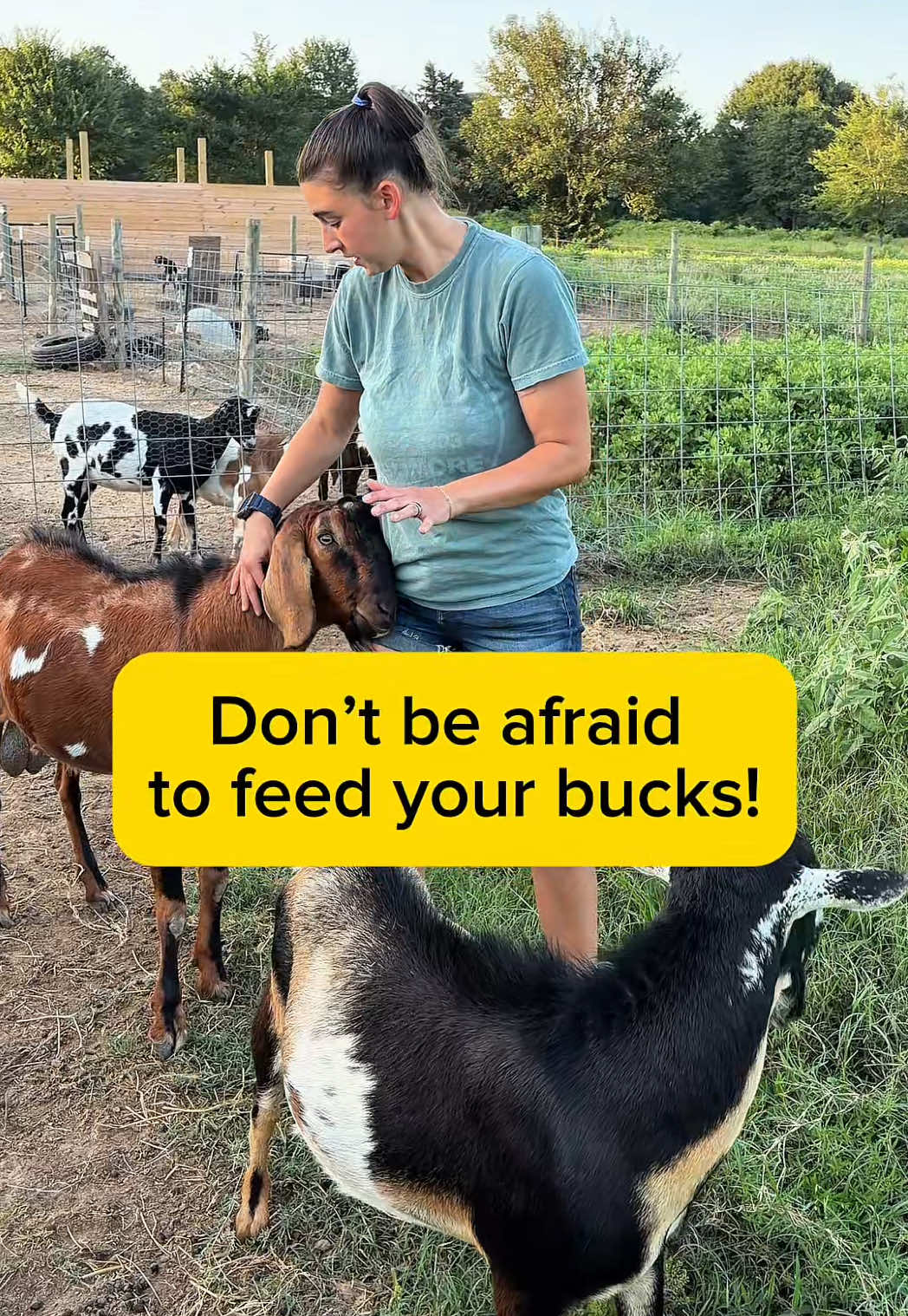 @Heart & Hoof Homestead