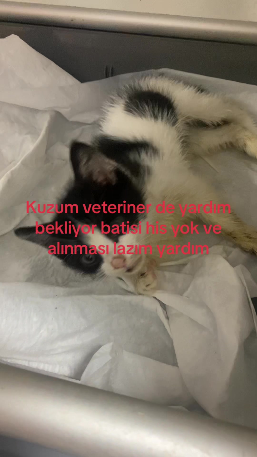 @İsimsiz