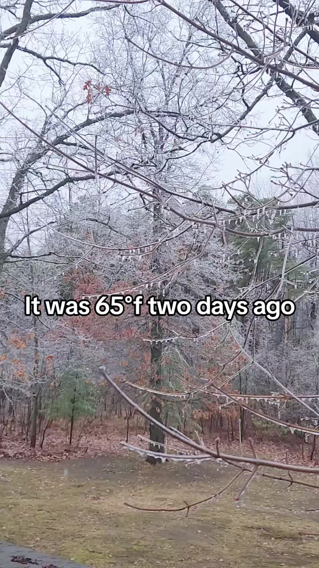 @yournoseisrunny