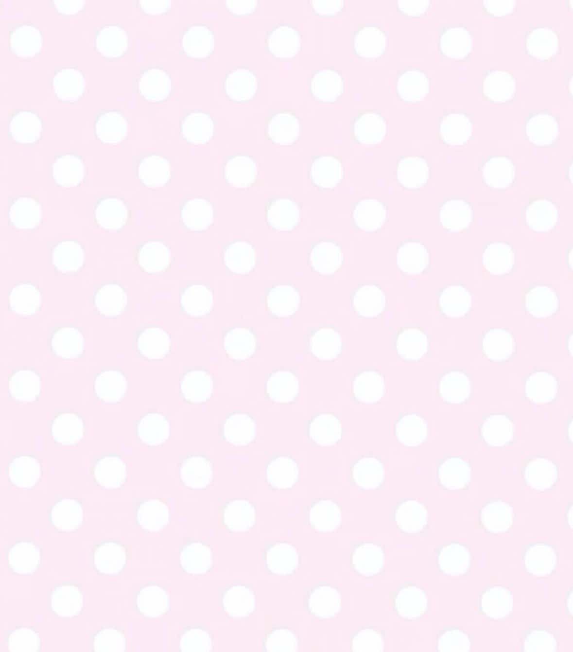 @꒰ঌ໒꒱ ˚₊ ℳ𝒾𝓈ℴ ₊˚🪽ෆ