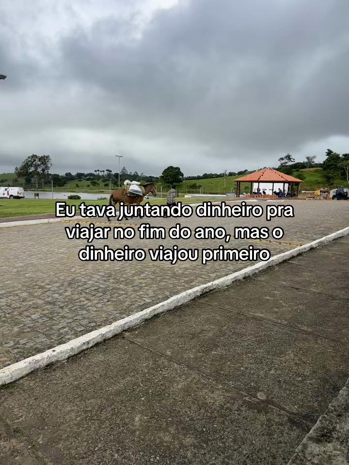 @Eduardo Santos🥇