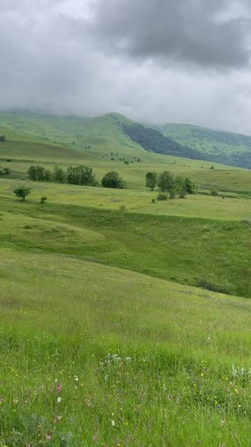 @YusifCamaləddinov