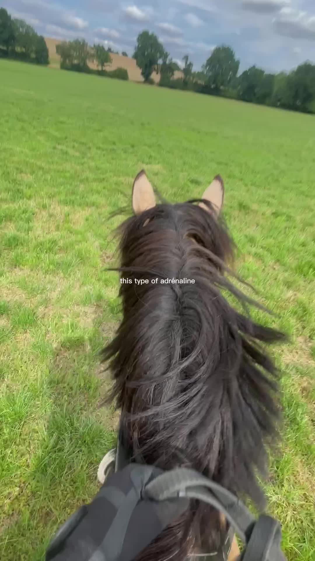 @Daily Pony&lsquo;s⚡️